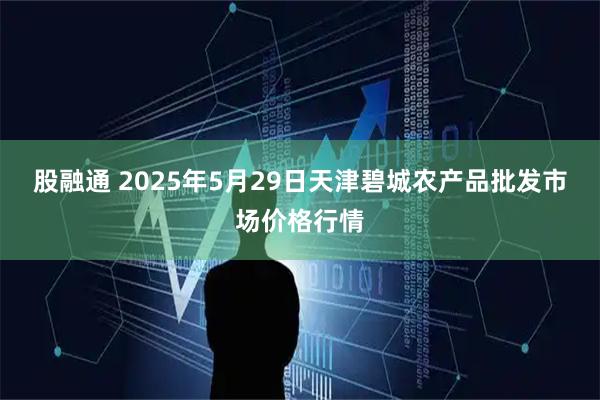 股融通 2025年5月29日天津碧城农产品批发市场价格行情