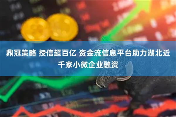 鼎冠策略 授信超百亿 资金流信息平台助力湖北近千家小微企业融资