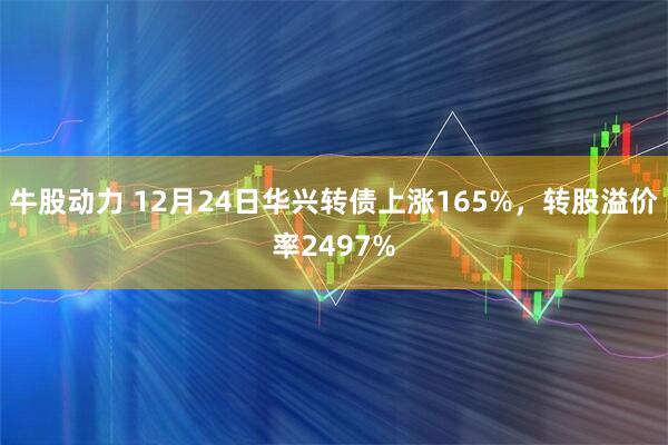 牛股动力 12月24日华兴转债上涨165%，转股溢价率2497%