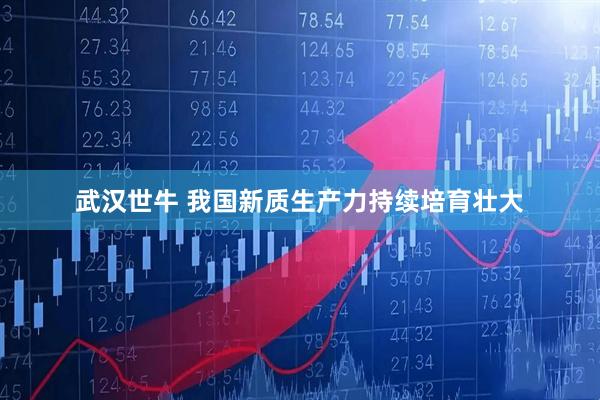 武汉世牛 我国新质生产力持续培育壮大